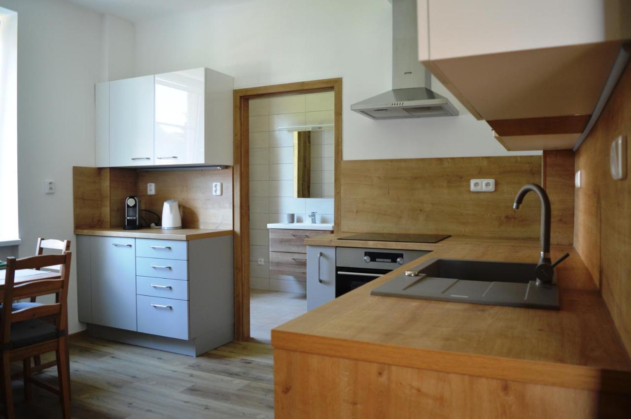 Apartmán u Malého jezu Ceske Budejovice Exteriér fotografie