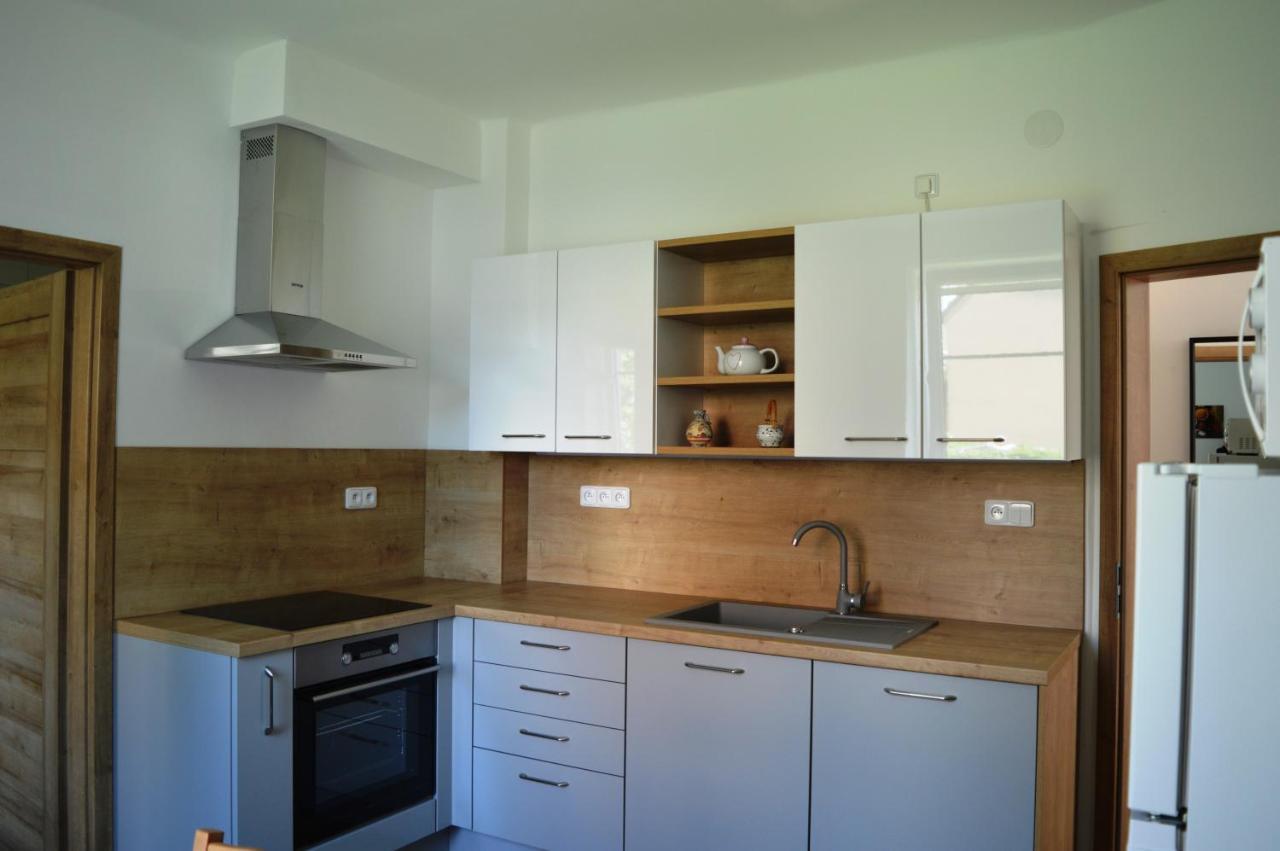 Apartmán u Malého jezu Ceske Budejovice Exteriér fotografie
