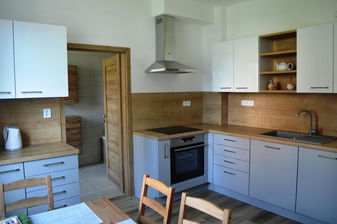 Apartmán u Malého jezu Ceske Budejovice Exteriér fotografie