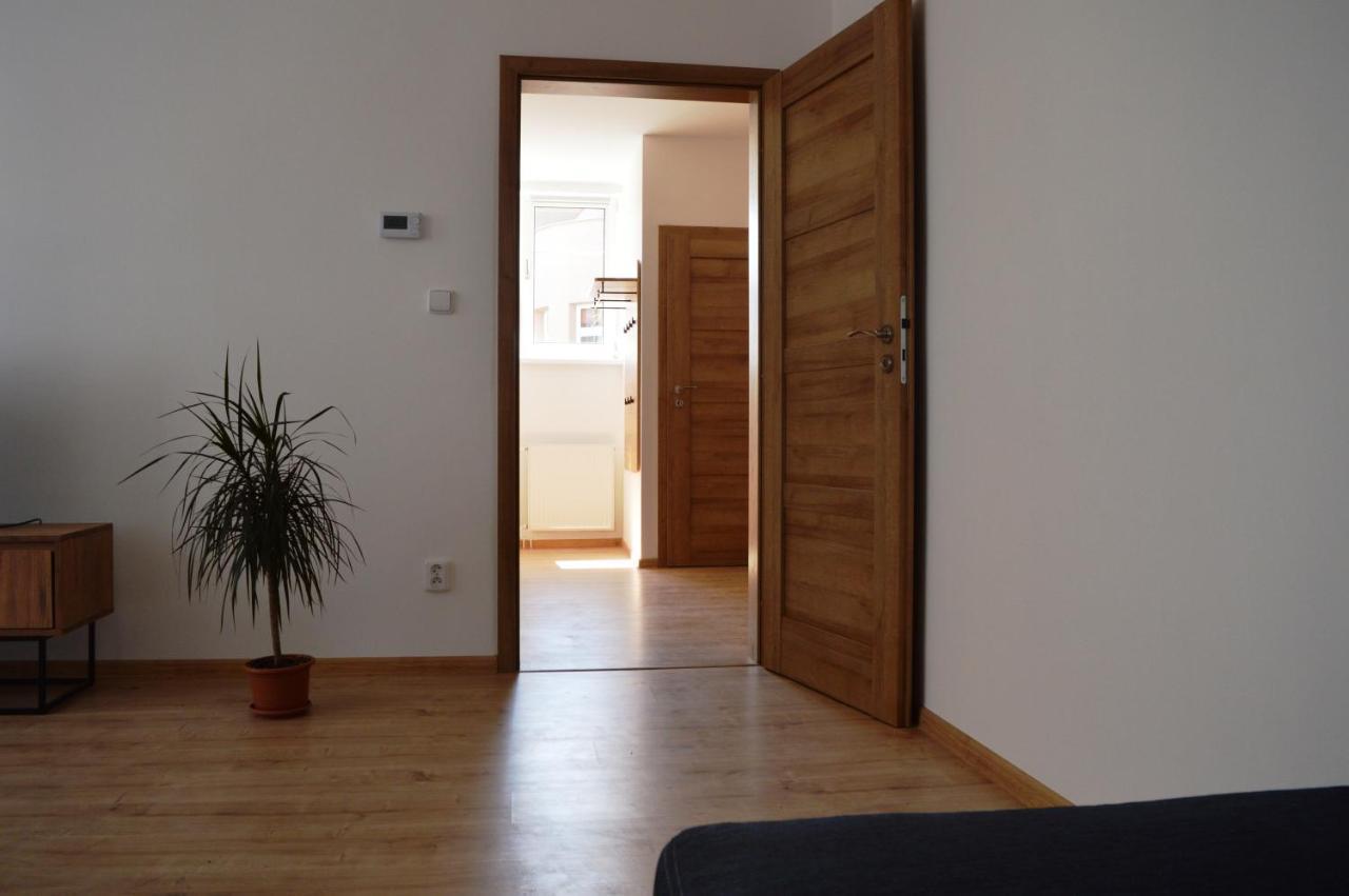 Apartmán u Malého jezu Ceske Budejovice Exteriér fotografie