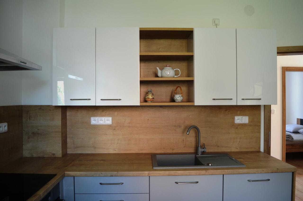 Apartmán u Malého jezu Ceske Budejovice Exteriér fotografie