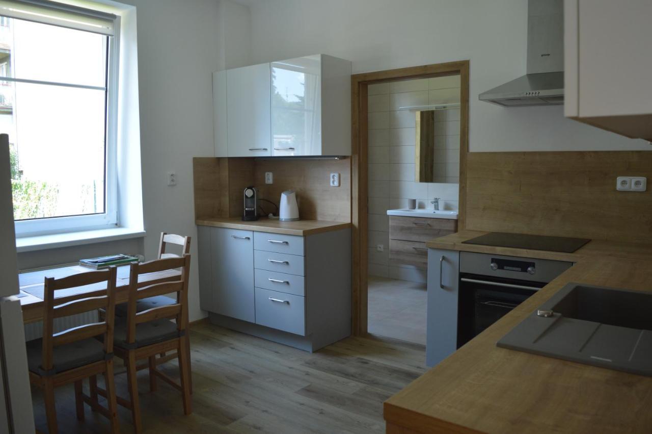 Apartmán u Malého jezu Ceske Budejovice Exteriér fotografie
